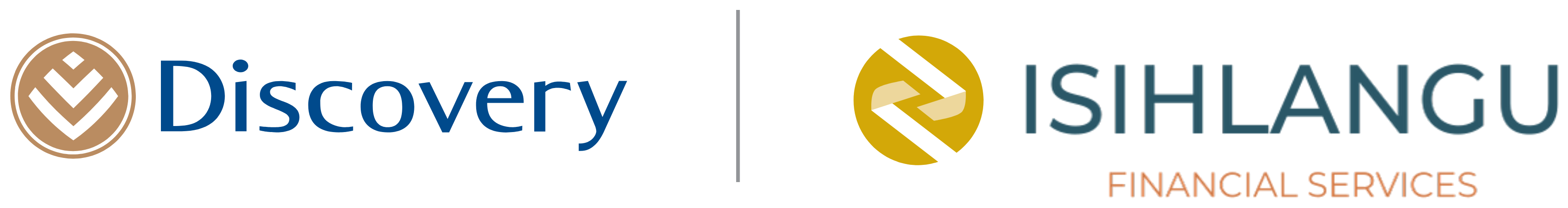 Discovery and Isihlangu Financial Services